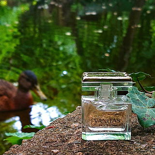 Vanitas (Eau de Parfum) - Versace