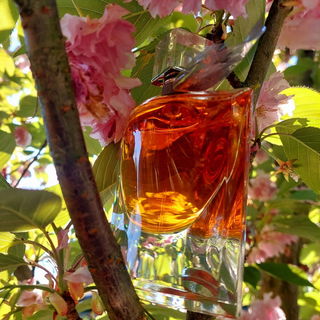 La Vie est Belle L'Eau de Parfum von Lancôme