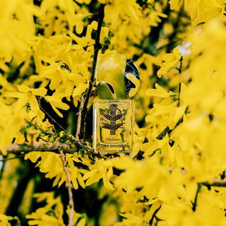 Dieses Bild widme ich Andreas Elsholz und Roberto Blanco