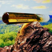 Nijananda-Zeitkapsel (by Floyd)