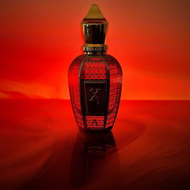 Dream of Arrakis