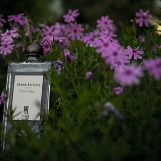 Pohadka - Ainsi la nuit - YS Uzac