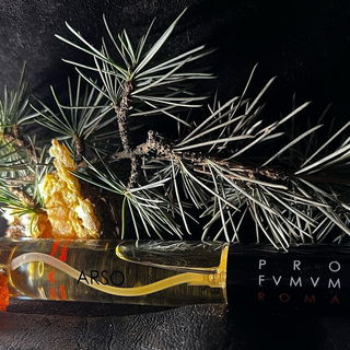 Arso von Profumum Roma
