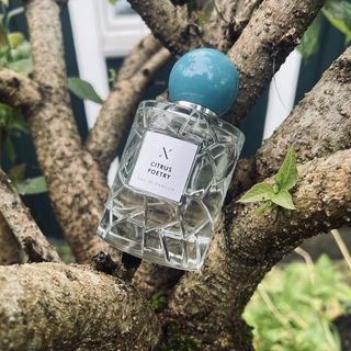 Citrus Poetry von Les Sœurs de Noé