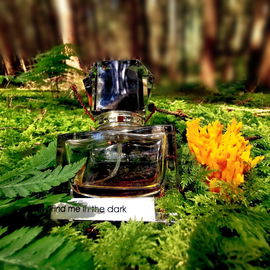 Exclusive Blend - Find Me In The Dark - Jousset Parfums