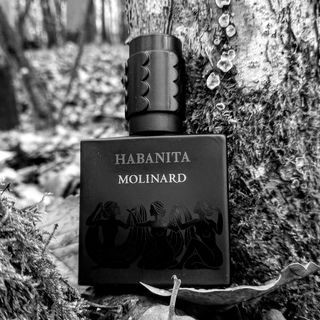 Habanita (2012) (Eau de Parfum)