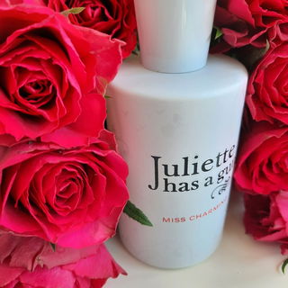 Miss Charming by Juliette Has A Gun