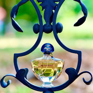 Hallo Ihr Lieben, danke für euren Besuch, ich freue mich auf eure Kommentare. Einen schönen Sonntag. Liebe Grüße 🙏🥰💛