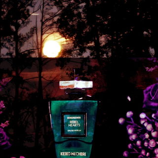 Das ist wieder mal ein Experiment(2 Bilder zu überlagern). Der Mond und die Bäume übrigens echt.