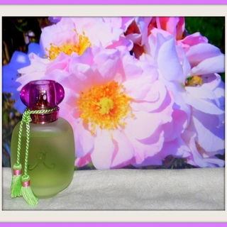 Clair Matin - die Rose, die für den Duft Verwendung findet / Clair Matin - the rose and Clair Matin the fragrance