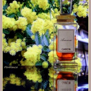 Acaciosa (1929) - Caron