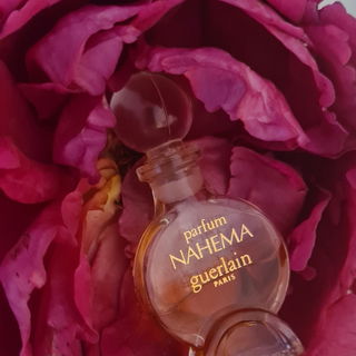 Nahema (Parfum) by Guerlain