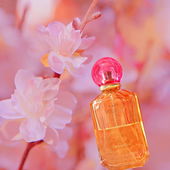 In der Tat für mich ein absoluter 