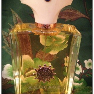 Dia Man von Amouage