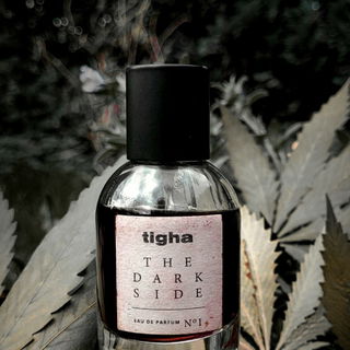 The Dark Side by Tigha