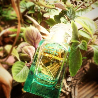 Un Jardin sur le Nil (Eau de Toilette) by Hermès