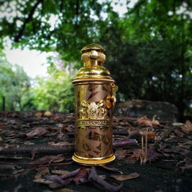 Golden Oud - Alexandre.J
