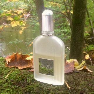 Grey Vetiver (Eau de Parfum) - Tom Ford
