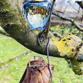 Die weise Krähe in einem alten Apfelbaum… Lieben Dank!🫶