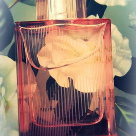 Brit Sheer - Burberry