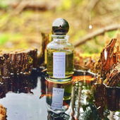 Herbsttag in den Wäldern (von Knopfnase)