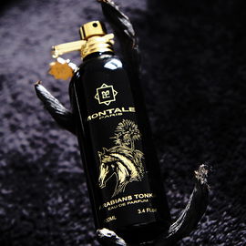 Arabians Tonka - Montale