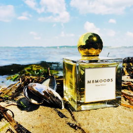 Mare Mosso - M8 Moods