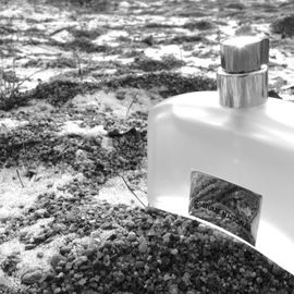 Scent Sheer - Costume National