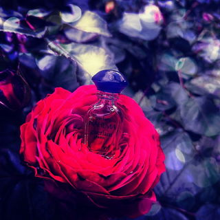 Nahema (Parfum) - Guerlain