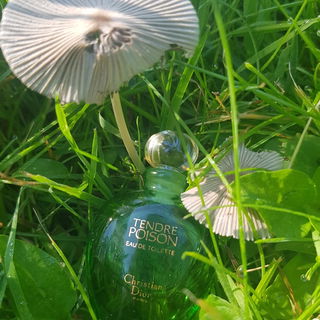 Tendre Poison (Eau de Toilette) by Dior