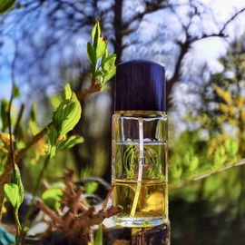Opium pour Homme (Eau de Toilette) - Yves Saint Laurent