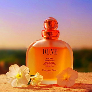 ☀️ Im tiefen Licht der aufgehenden Sonne ☀️ Herzlichen Dank Euch allen 🧡