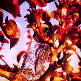 Mystère (Eau de Parfum) - Rochas