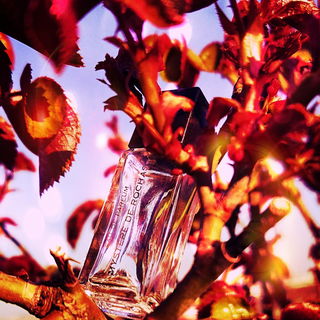 Mystère (Eau de Parfum) - Rochas