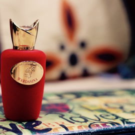 Sospiro Wardasina : A love Chemistry of Rose and Tobacco . Photograph clicked in India