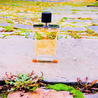 Terre d'Hermès (Eau de Toilette) von Hermès