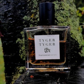 Tyger Tyger von Francesca Bianchi