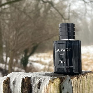 Sauvage Elixir