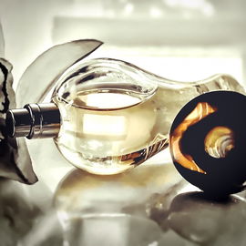 Nuit de Longchamp (2008) (Eau de Parfum) - Lubin