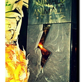 Animale Animale for Men - Animale