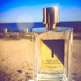 1 - Bergamot, Tea Leaf, Sandal Wood - Rosendo Mateu - Olfactive Expressions