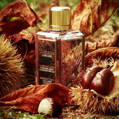 Mein Kuschelherbstduft. Vielen lieben Dank, es freut mich dass Euch das Foto dazu gefällt. (by Zora)