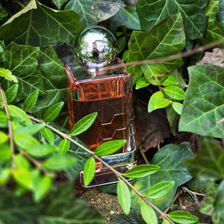 Kisspeptin von Hormone