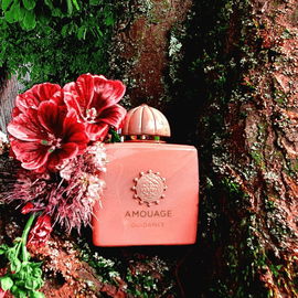 Guidance (Eau de Parfum) - Amouage