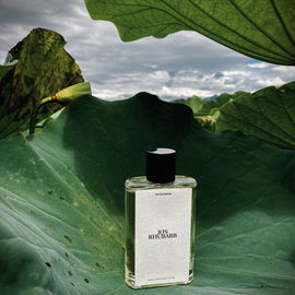 Zara Emotions N°09 - Jo's Rhubarb - Zara
