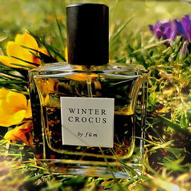 Winter Crocus - Fūm