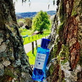 ... Entspannung... vielen lieben Dank für euren Fotobesuch und die schönen Rückmeldungen 🌳 (von Fragilly)