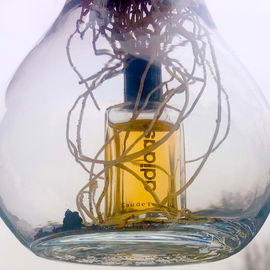 Adidas (Eau de Toilette) - Adidas