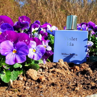 Lila - Der letzte Versuch