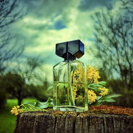 Fidji (2003) (Eau de Toilette) - Guy Laroche